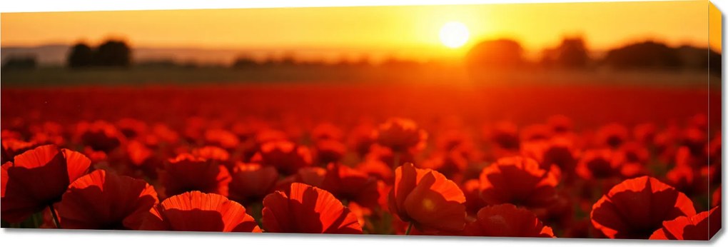 Vászonkép 150x50cm Hálószoba Nappali Panoráma Esti Pipacsok