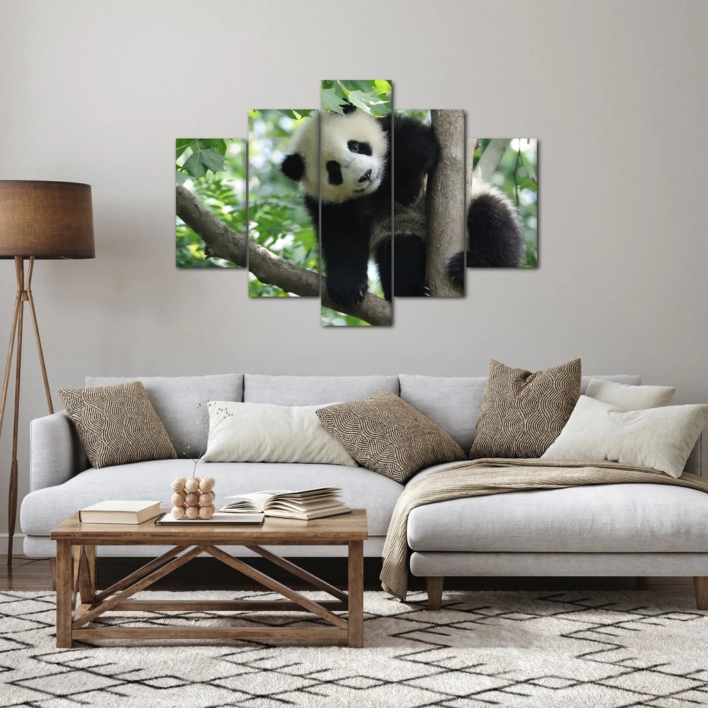 Kép - Panda a fán (150x105 cm)