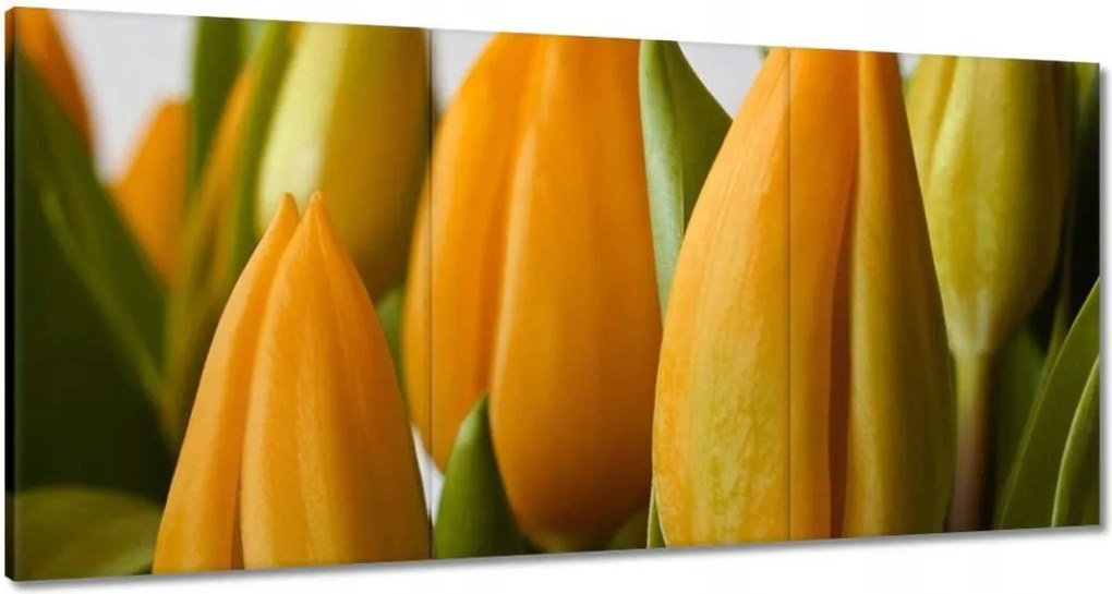 Vászonkép 120x60 Sárga tulipánok