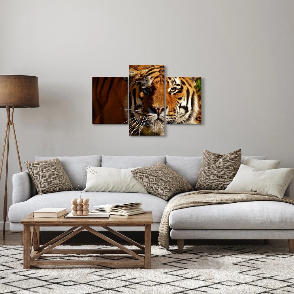Tigris képe (90x60 cm)