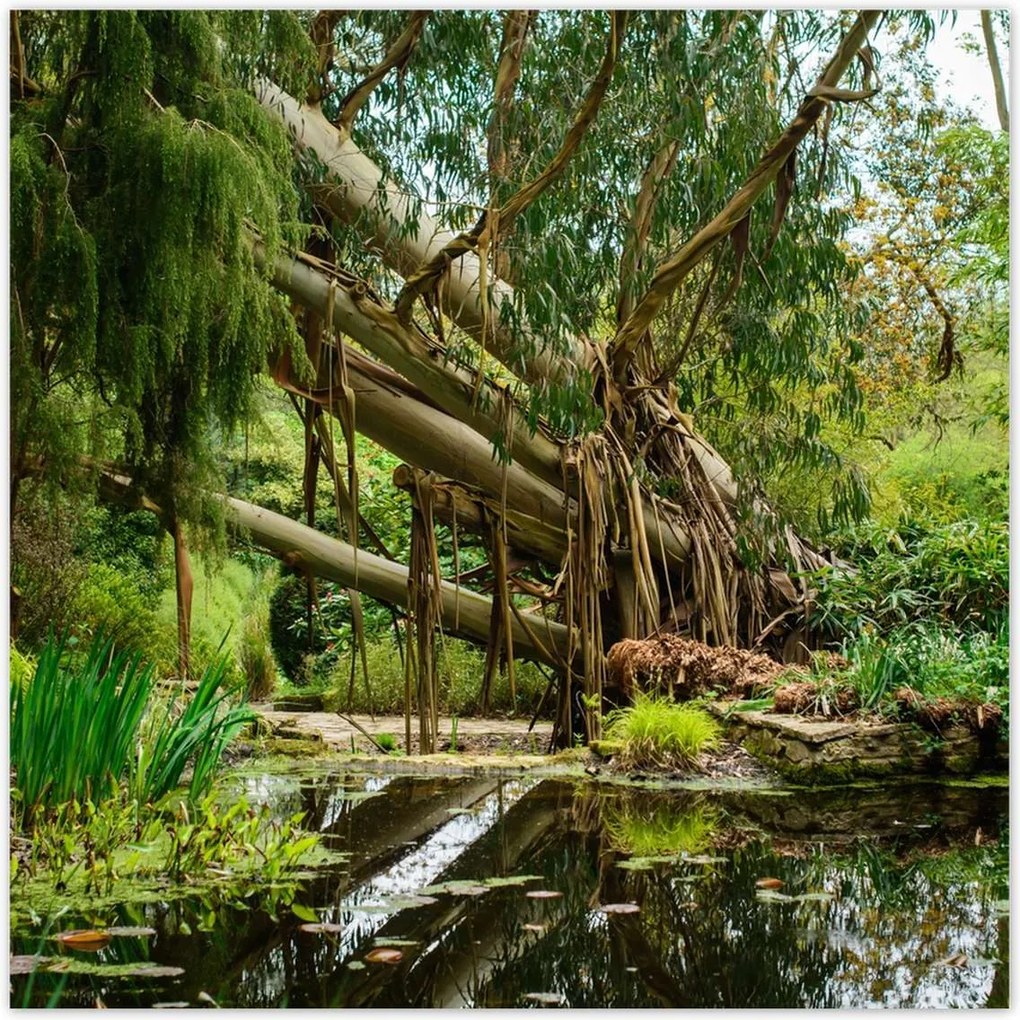 Poszterek 140x140 Tájkép Látvány