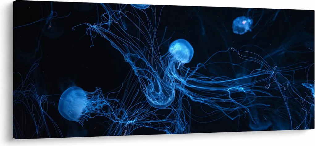 Kép - Medúza (120x50 cm)