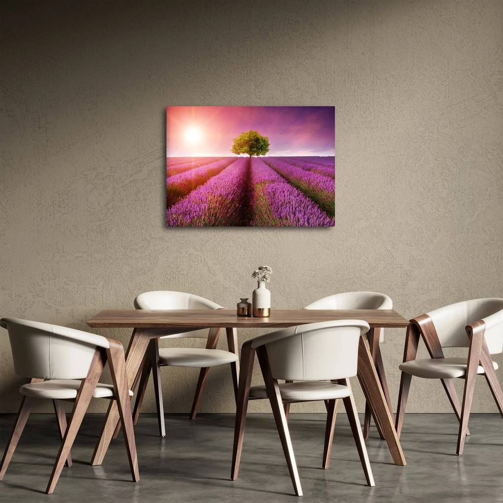 Levendula mező képe (70x50 cm)