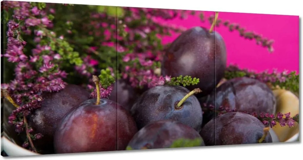 Vászonkép 180x90 Magyar szilva