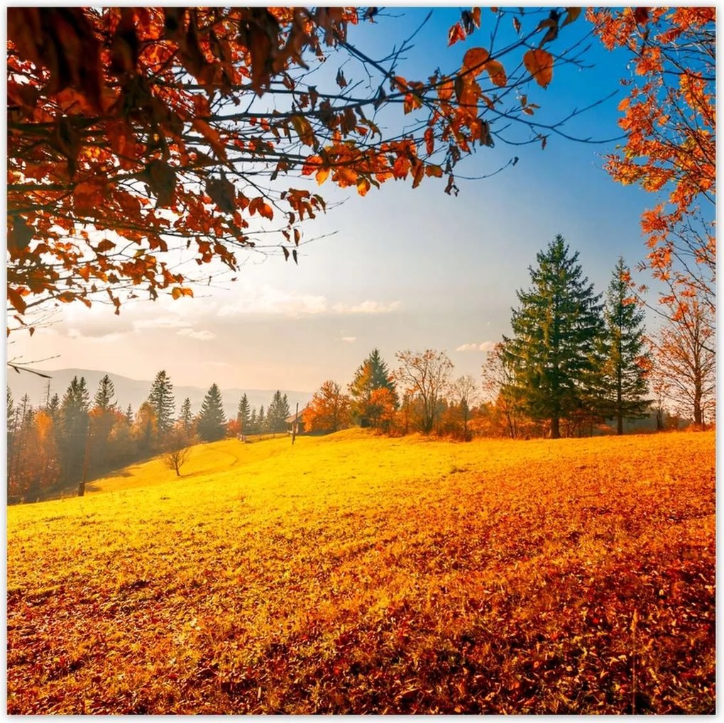 Poszterek 70x70 Őszi táj hegyek