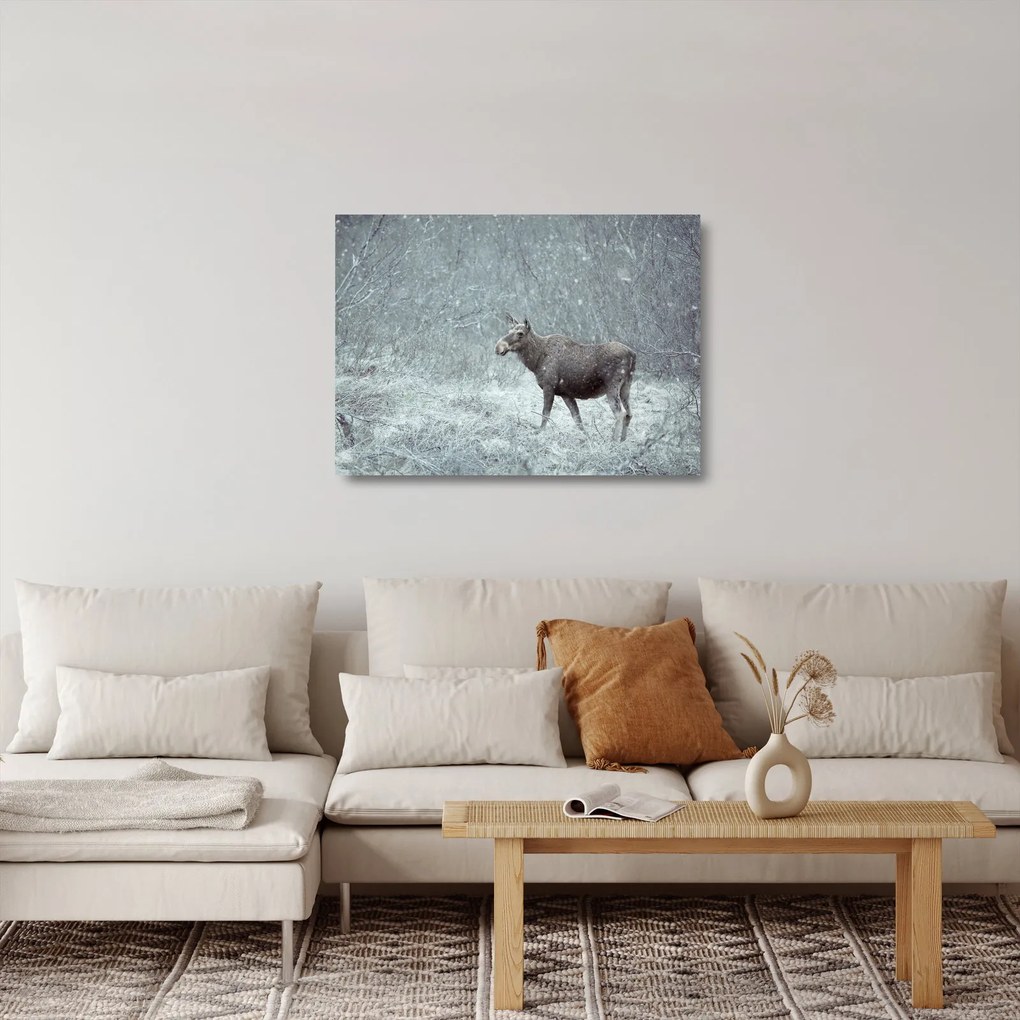 Kép - jávorszarvas egy hóval borított erdőben (üvegen) (70x50 cm)