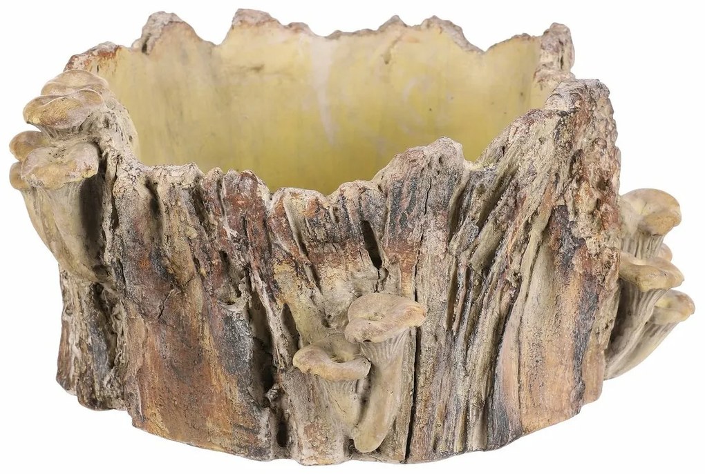 Beton burkolat - tusk with mushrooms, 32 x 29 x 16cm