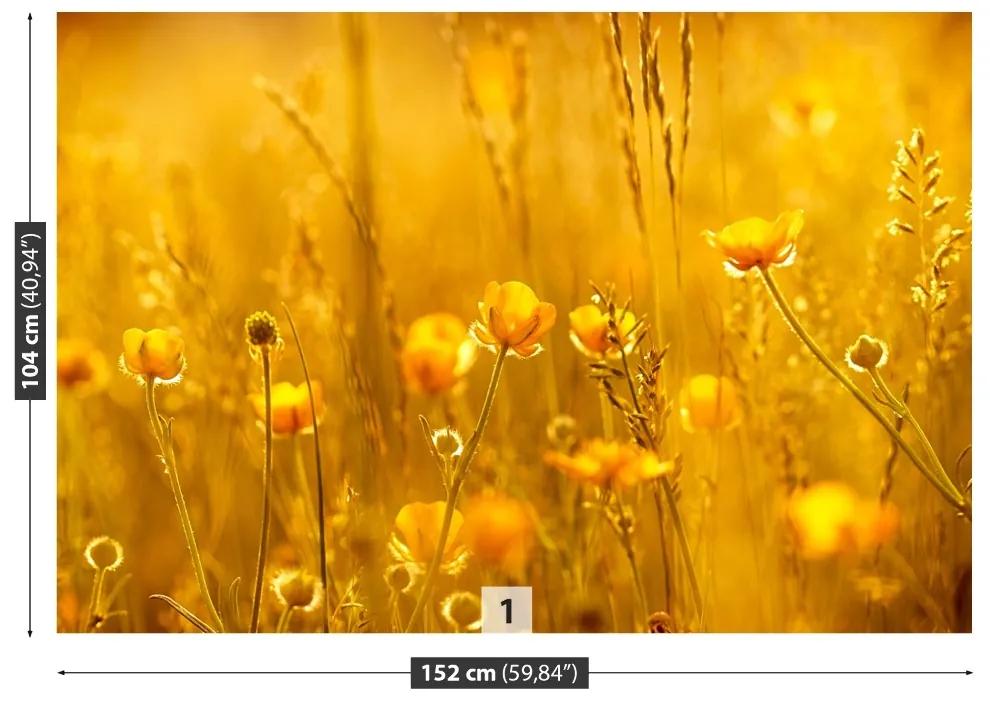 Fotótapéta mezei virágok 104x70 cm