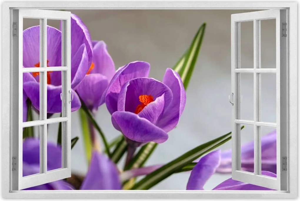 Poszterek 90x60 Krokus Virágok