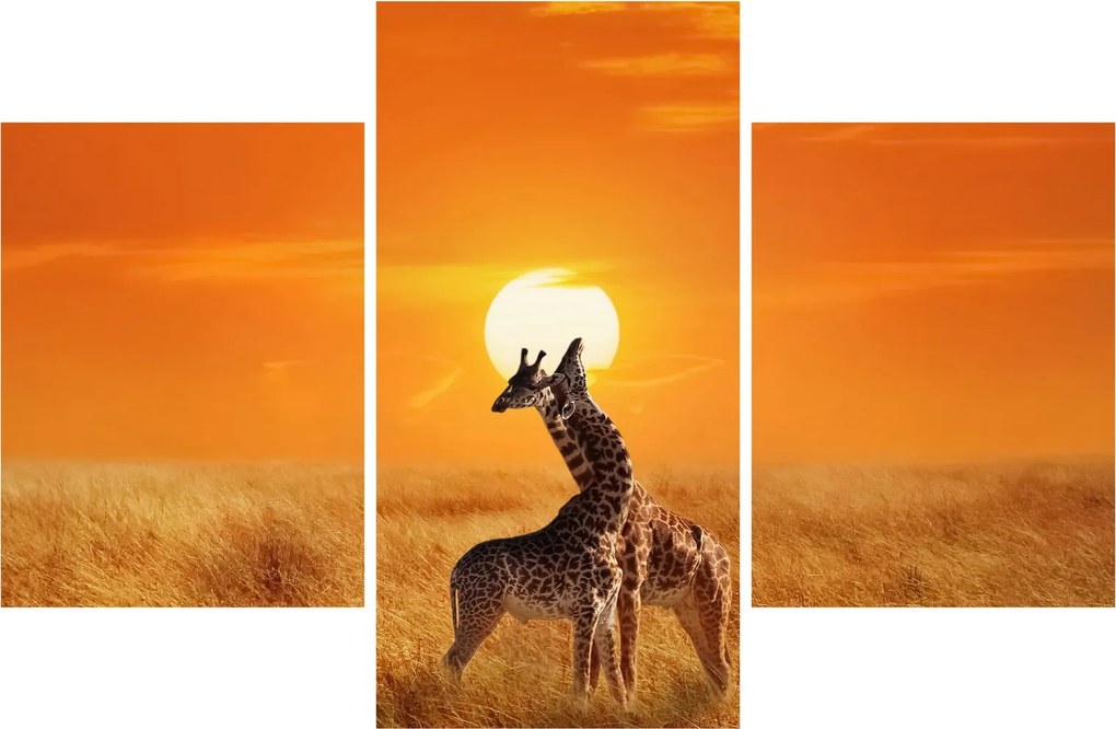 Kép - Zsiráfok a Serengeti Nemzeti Parkban (90x60 cm)