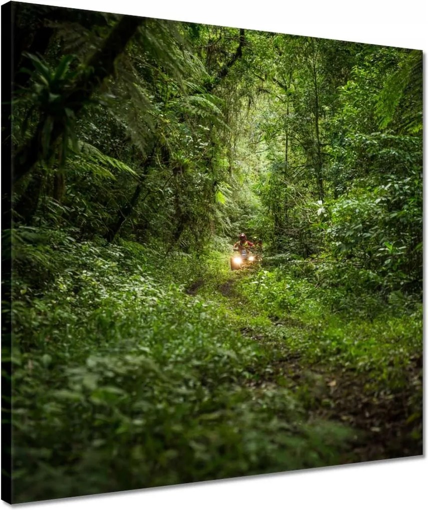 Vászonkép 40x40 Quad Négy kerék Terep