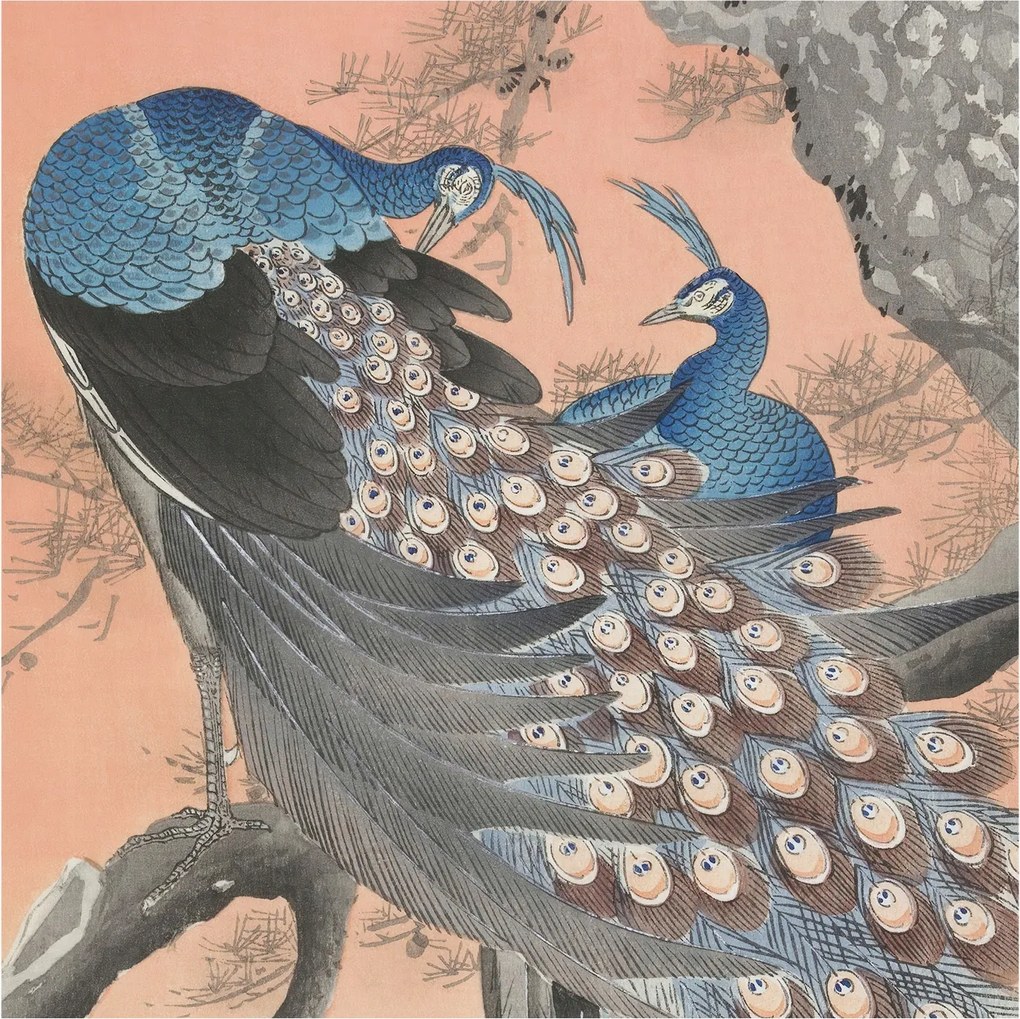 Stílusos Dekoratív Fotótapéta Páva elegancia 250x250 Ragasztó