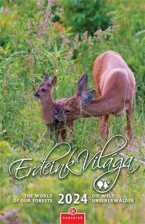 Naptár, fali, CSG Erdeink világa (NCFN084)