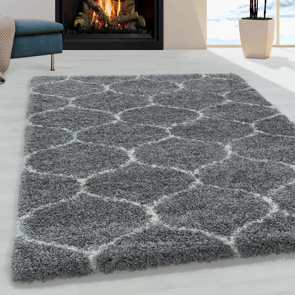 Szürke szőnyeg 160x230 cm Salsa – Ayyildiz Carpets