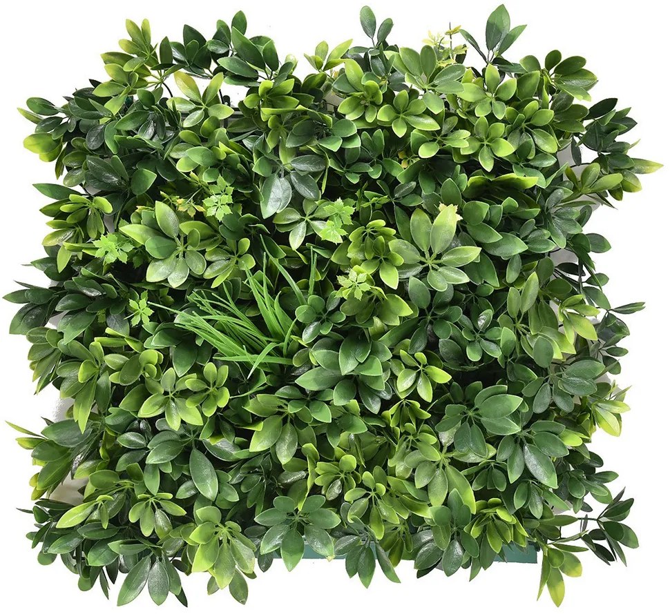Arália műanyag zöldfal 50x50 cm