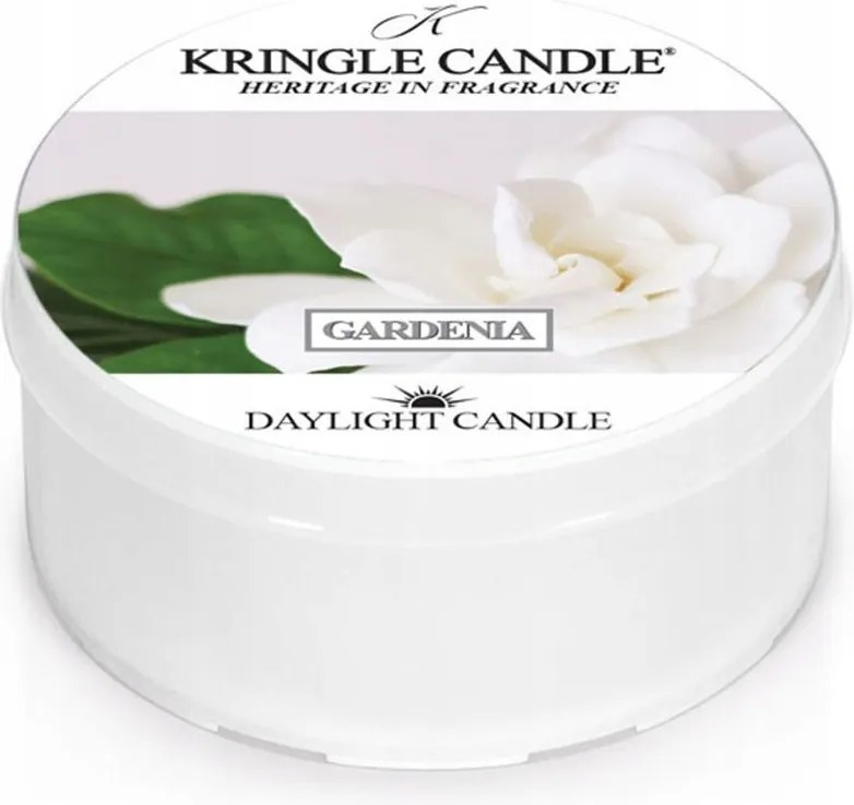 Daylight gyertya Gardenia Kringle Candle