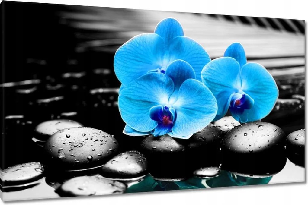 Vászonkép 120x70 Kék orchidea