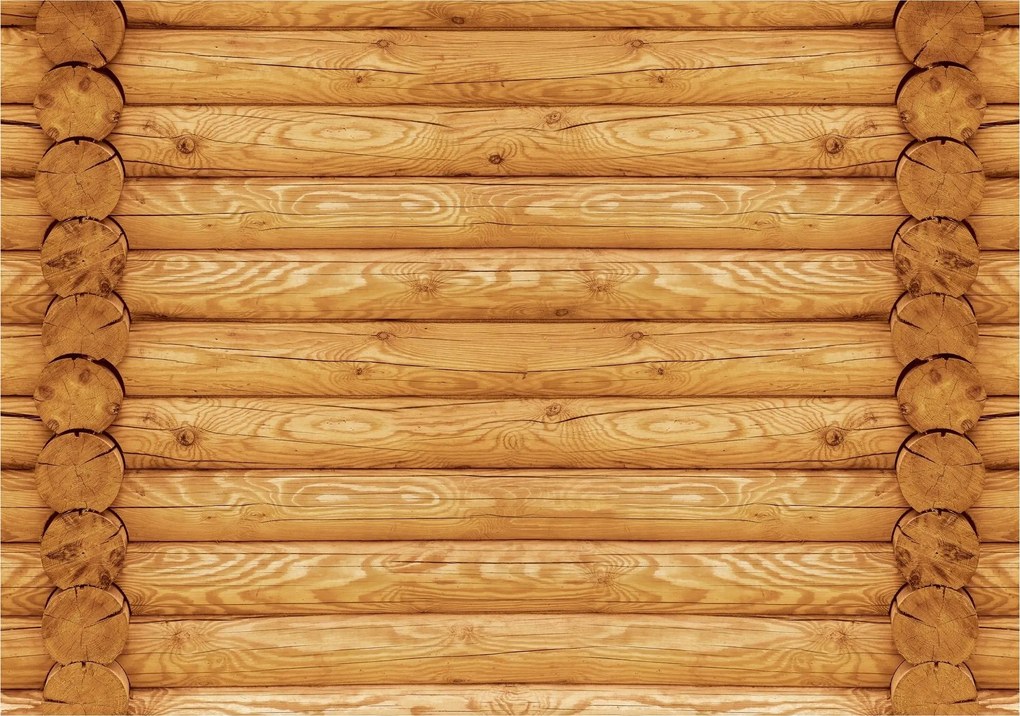 Tapéta Fa fal Rönkök Természet 312x219 Ökostílus Loft Rusztikus +ragasztó