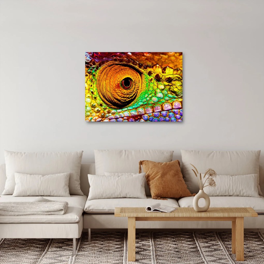 Kép - Kaméleon (70x50 cm)
