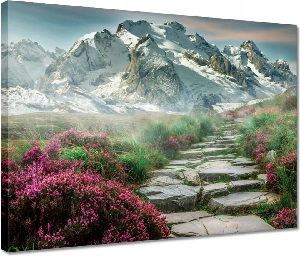 Vászonkép 40x30 Hegyi kilátás