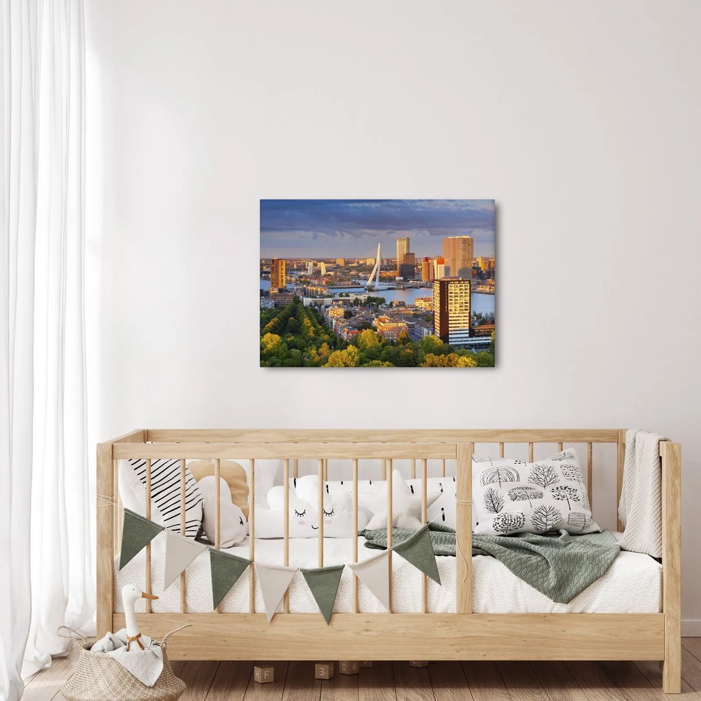 Kép - panoráma Rotterdam, Hollandia (70x50 cm)
