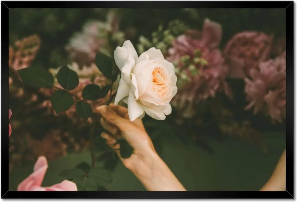 Poszterek keretben 60x40 Tejfürdő Csaj