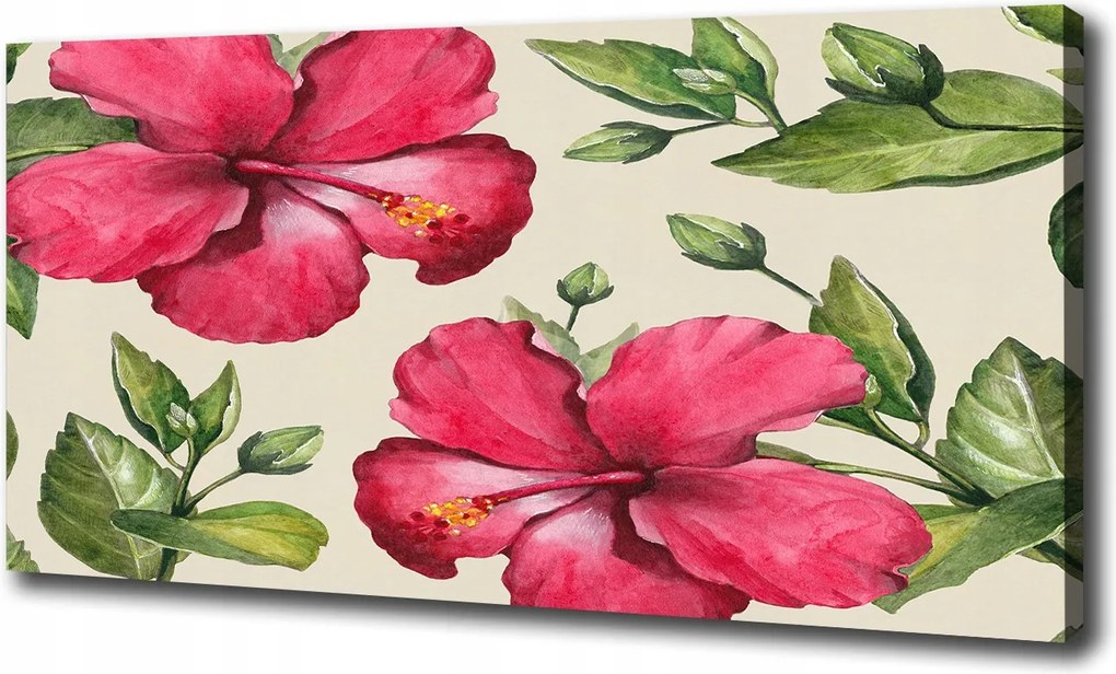 Vászonkép Rózsaszín hibiszkusz 100x70 cm