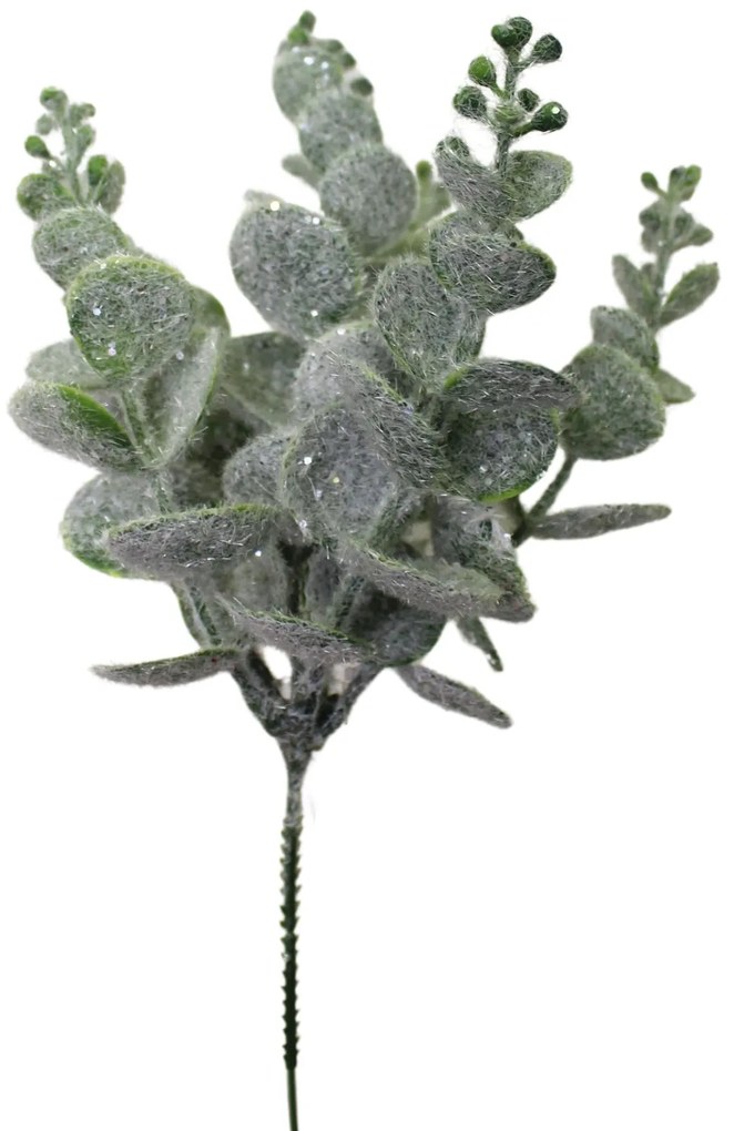 Jégbe fagyott eukaliptusz 29 cm