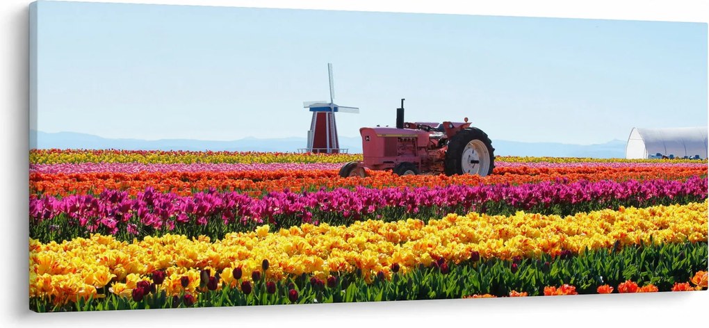 Tulipánfarm képe (120x50 cm)