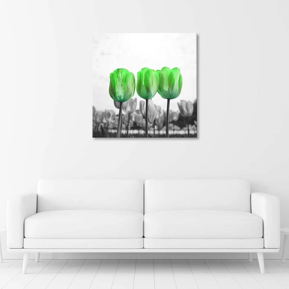Gario Vászonkép Zöld tulipánok a réten Méret: 40 x 40 cm