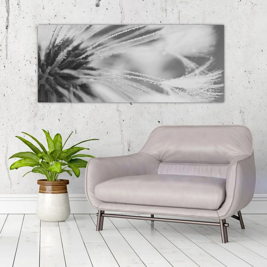 Kép - Pitypang (120x50 cm)