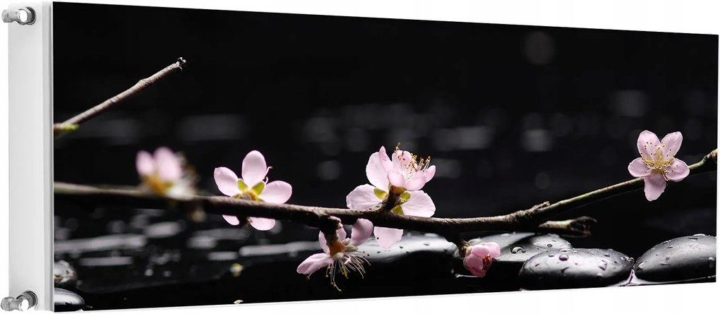 Mágneses Radiátorszőnyeg 160x60 Virágok Fotótapéta