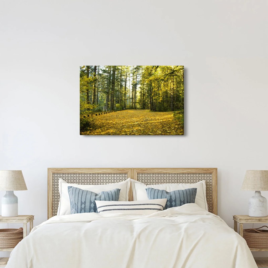 Kép - erdő ősszel (90x60 cm)