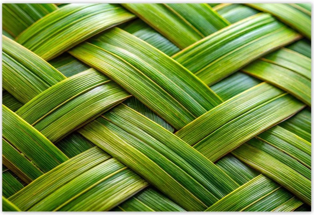 Poszterek 200x135 Zöld fonott Zöld rattan fonott lemez