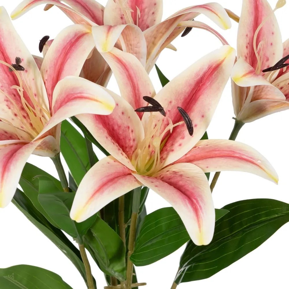 Művirág (magasság 58 cm) Lily – Ixia