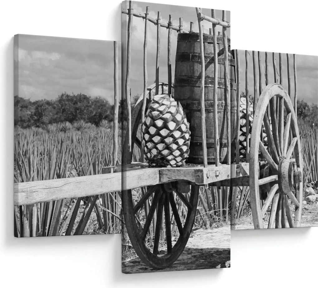 Kép - Utánfutó, fekete-fehér (90x60 cm)