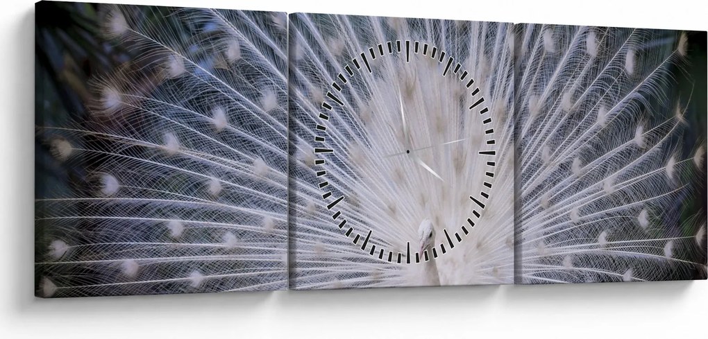 Kép - Fehér páva (órával) (90x30 cm)