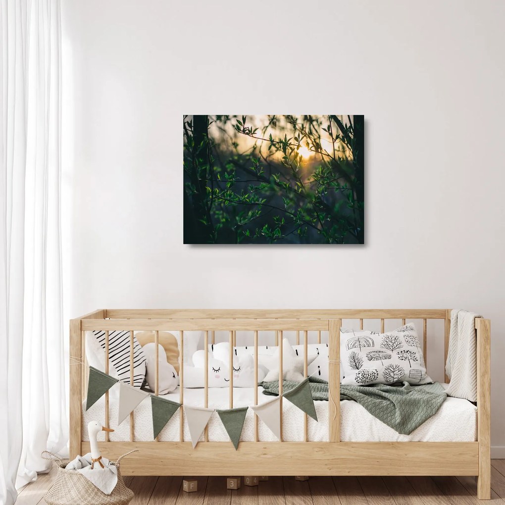 A ragyogó nap képe a fák gallyain keresztül (üvegen) (70x50 cm)