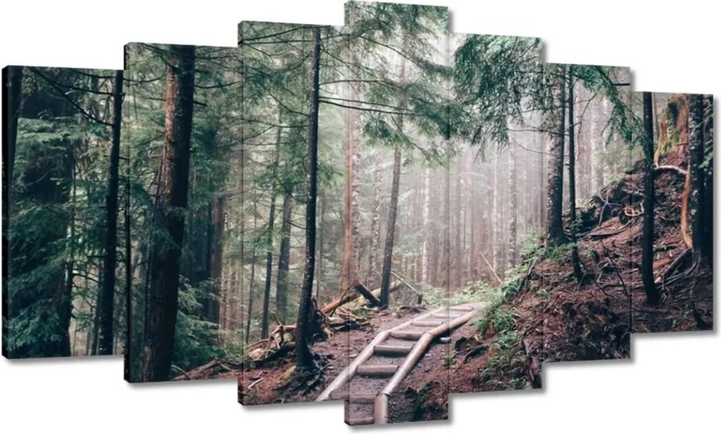 Festmények 140x80 Erdei ösvény