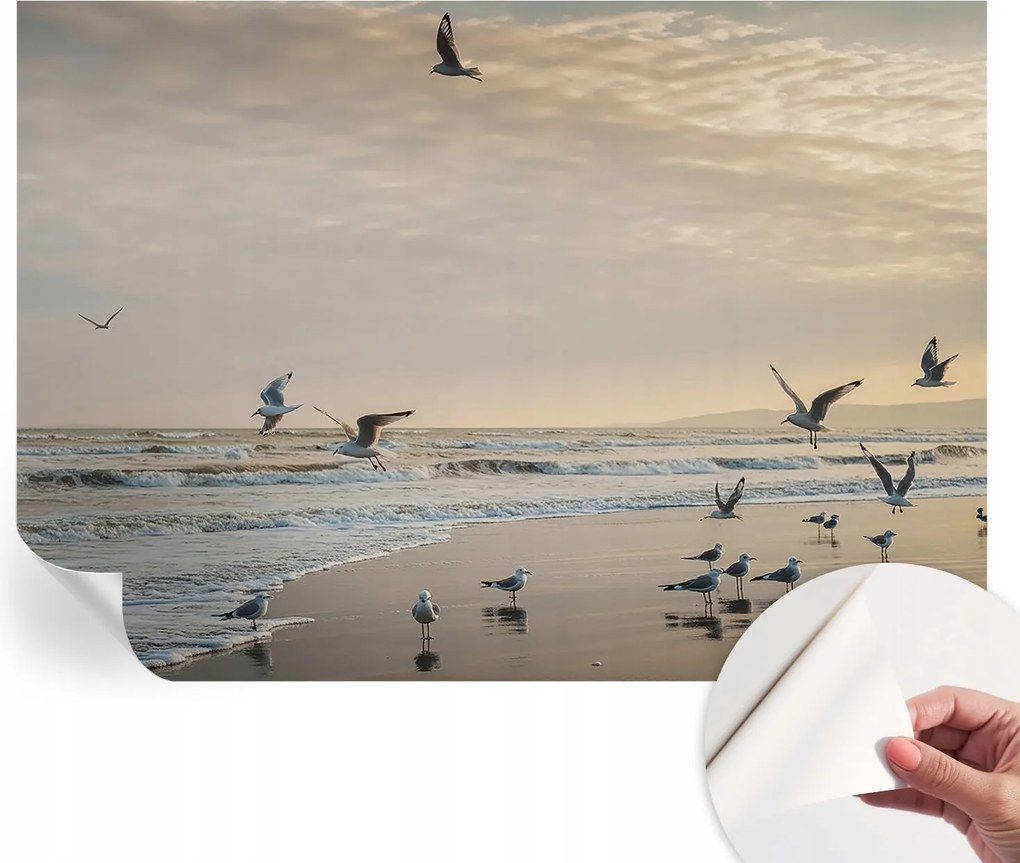 Modern öntapadós fali fotótapéta Tengerparti nyugalom 208x146 cm