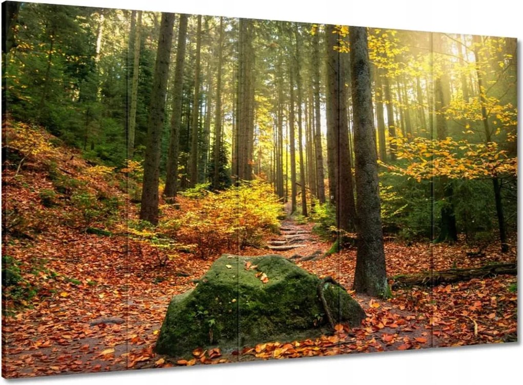 Festmények 100x70 Tájkép