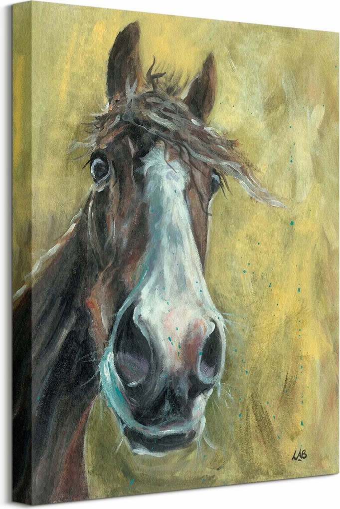 Barna ló vászonkép 40x50 cm