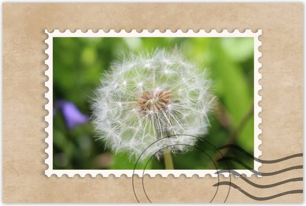 Poszterek 120x80 Pitypang Virág Virágok