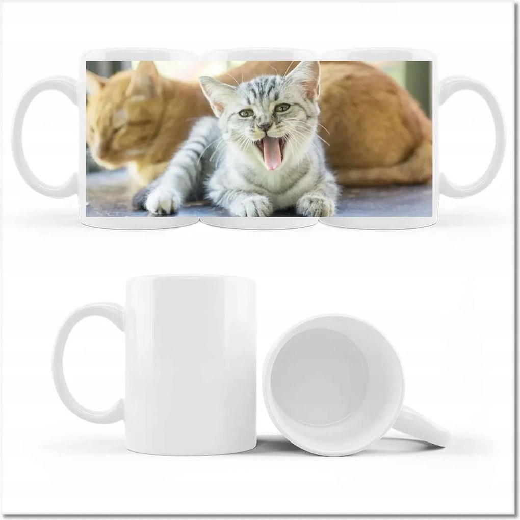 Cica fényképes bögre Cicák Macskák