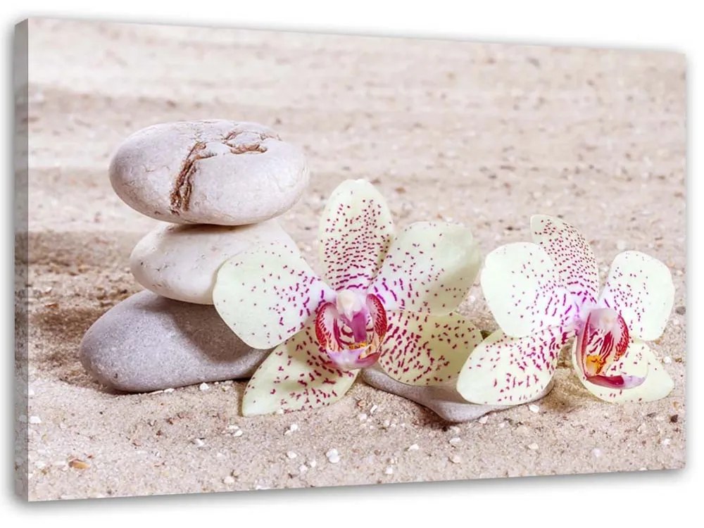 Gario Vászonkép Orchidea és kövek a homokon Méret: 100 x 70 cm