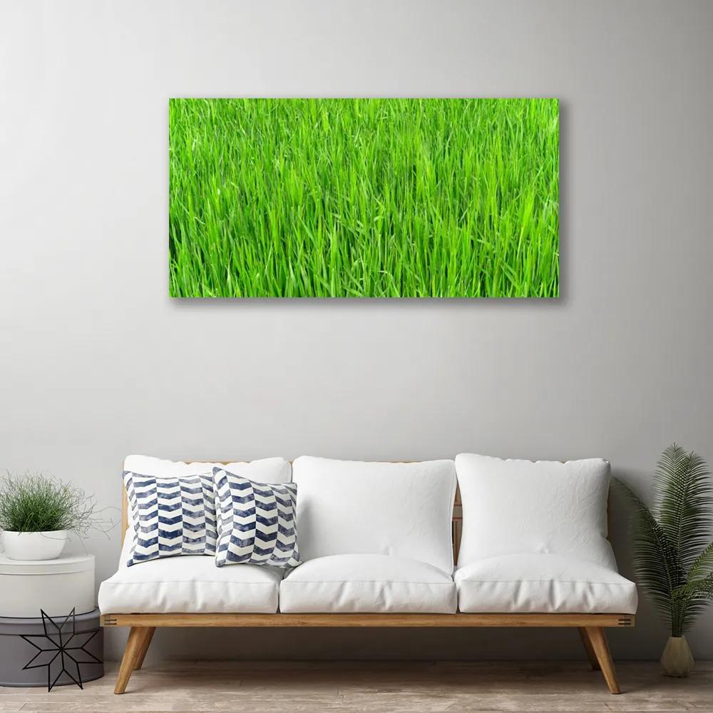 Canvas kép Nature Green Grass Turf 100x50 cm