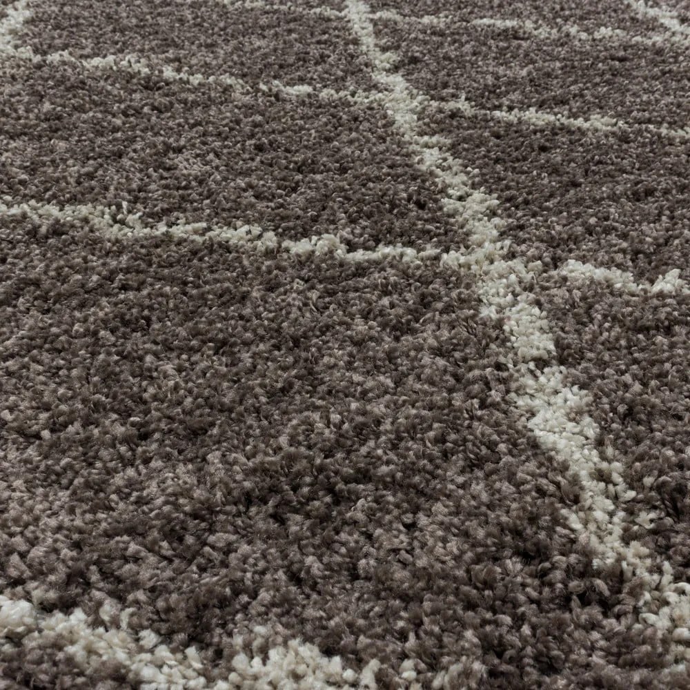Barna szőnyeg 120x170 cm Alvor – Ayyildiz Carpets
