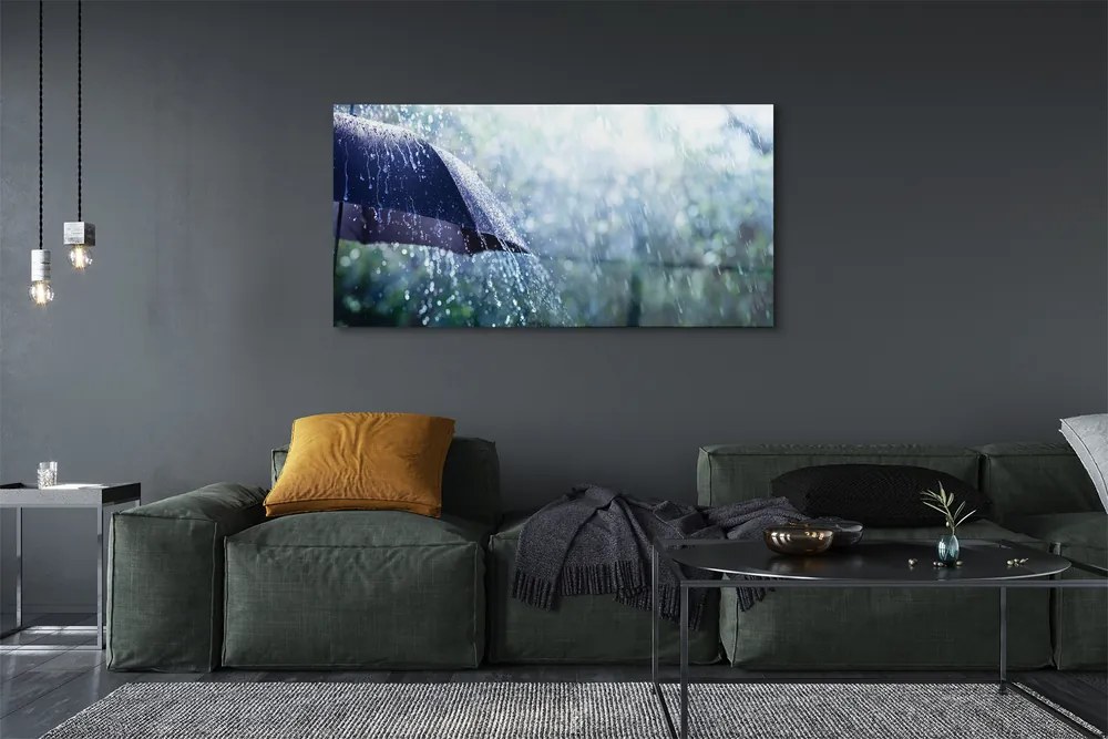 Akrilkép Esernyő eső esik 100x50 cm