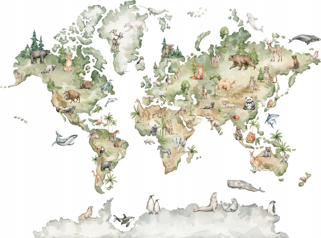 Fotótapéta tapéta Térkép kontinensek Világ 312 x 219