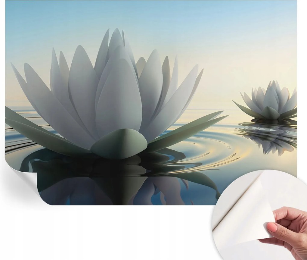 Öntapadós fotótapéta Nappaliba és Hálószobába Vízililiomok 312x219 cm